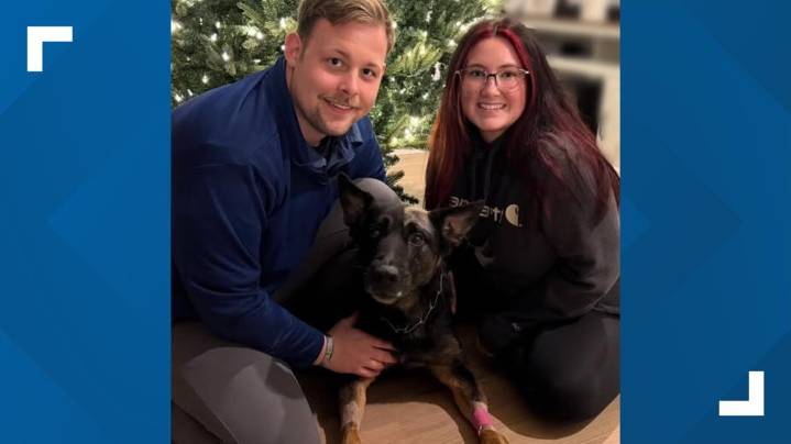 Morgan County K9 officer returns home after injury