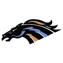 Swan Valley Stampeders point streak snapped at two after road loss to the Blizzard