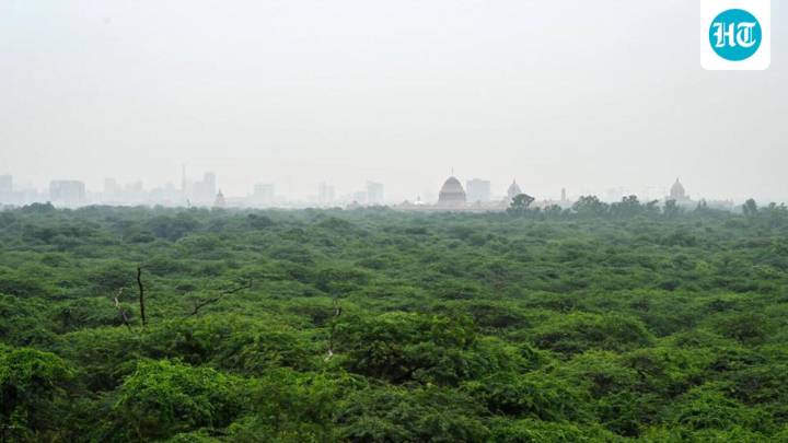 Delhi Ridge gets new statutory board to oversee protection, permissions