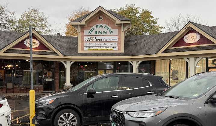 Dog Gone Inn in Manlius shutting down for good amid allegations of neglect and a dog’s death