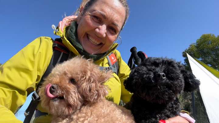 Mayka Navarro, periodista: “No pude ser madre y sé que mis perros Simón y Lola no reemplazan nada, pero lo que siento por ellos se debe parecer mucho”