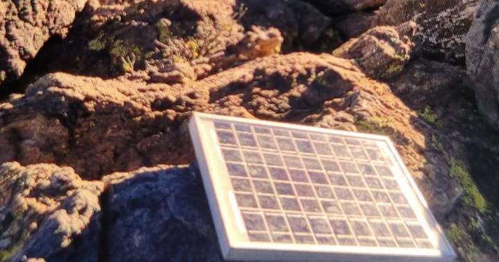 Patrulla Fronteriza captura a presuntos exploradores de contrabando