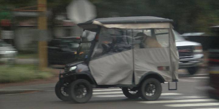 New golf cart law set to take effect in Bluffton in January