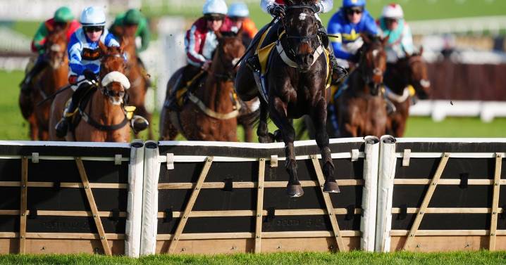 Minella Study remains unbeaten in Cheltenham romp