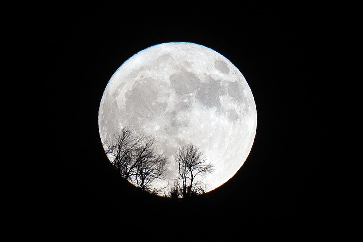 “Estará más alta que cualquier otra”: a qué hora se verá HOY la última superluna del año en Chile