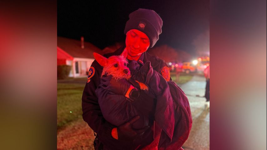 St. George Fire Department rescues dog from Thanksgiving night house fire