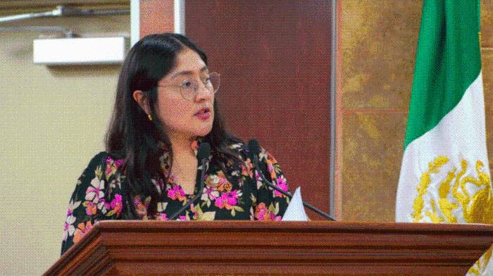 Michel Sánchez Allende encabezará el Congreso de Baja California