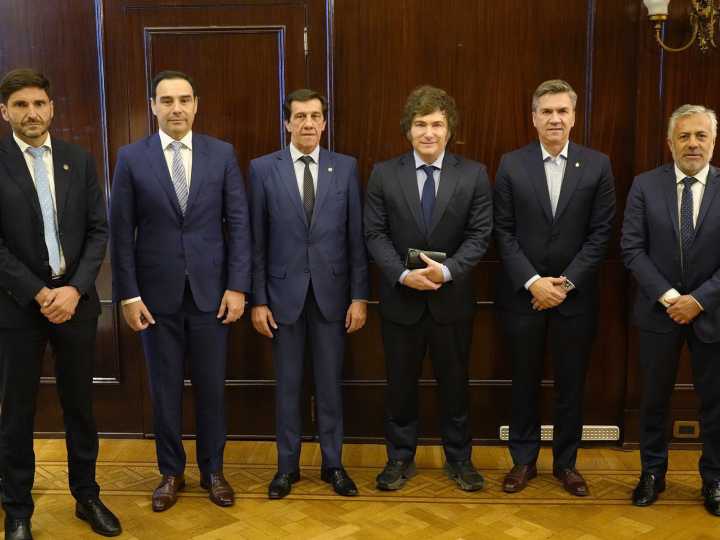 La UCR en crisis busca nuevo jefe:  pasó de tener 140 diputados a sólo 12