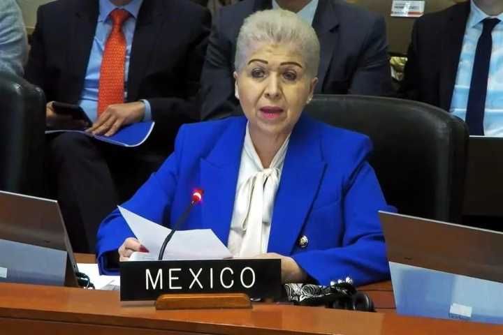 Defiende México asilo político ante la OEA