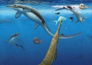 Descubren 30.000 fósiles de un antiguo ecosistema de reptiles marinos en una isla del Ártico