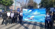 Pilotos mexicanos exigen respeto a la ley y prohibición a contratación de aviadores extranjeros