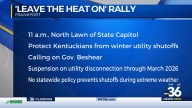 “Leave the Heat On” Rally at State Capital