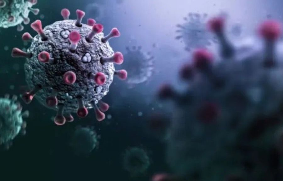 Gripe H3N2 provoca alerta mundial y cierre temporal de escuelas en Gran Bretaña