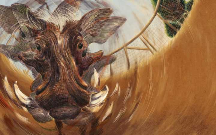 His Best Friend Was a 250-Pound Warthog. One Day It Decided to Kill Him.