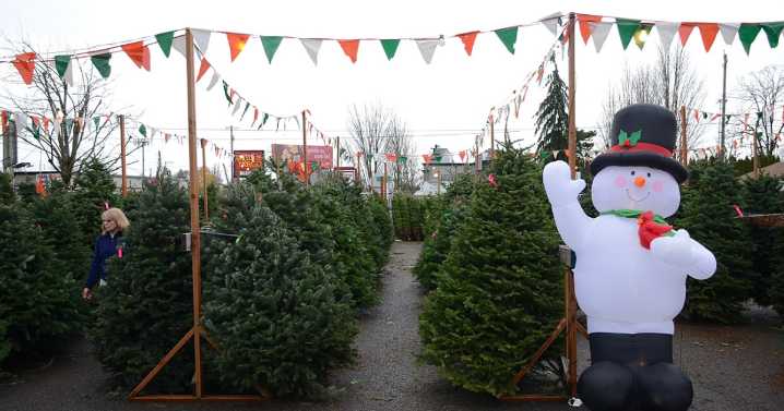 Sean of the South: The Christmas tree lot