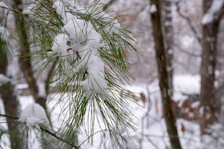 White Christmas 2025: Old Farmer's Almanac says snow possible in New England