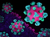 Investigadores pioneros crean nueva terapia para curar el VIH: la clave son las “tijeras genéticas”