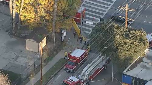 Trabajador muere empalado por una valla tras caer de un árbol en Canoga Park, según LAFD