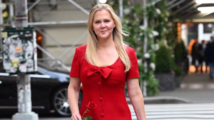 Amy Schumer fuels Chris Fischer divorce rumours