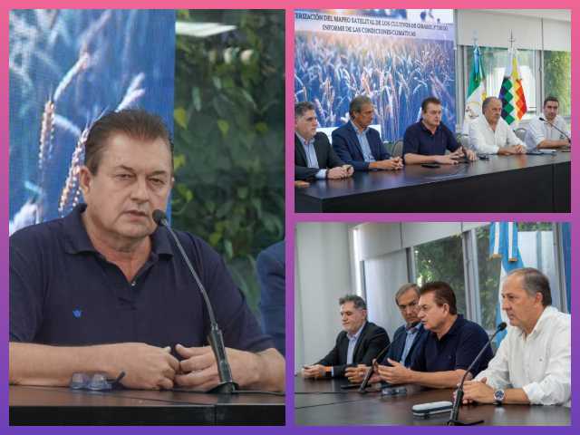 CHACO: El Gobierno Provincial Presentó Datos Oficiales Sobre La Siembra De Trigo Y Girasol