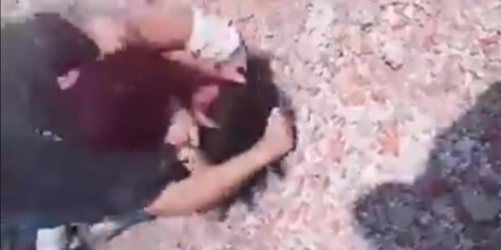 La brutal pelea entre dos chicas previo al ataque a los maestros en una escuela: “Por meterte con macho ajeno”