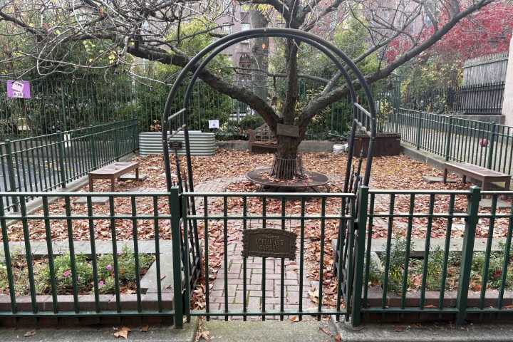 A Brooklyn School Comes Together After Losing One of Its Own