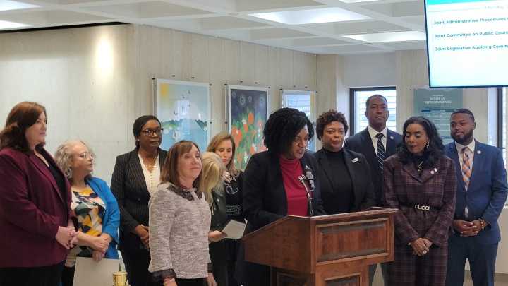 Democrats unveil ‘Affordability Agenda’ to lower housing costs, reduce government waste