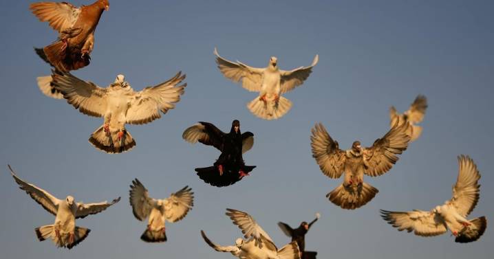 The top photos of the day by AP's photojournalists