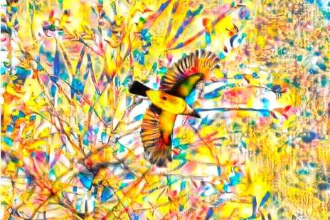 Este jueves abre la muestra fotográfica ‘Nuevas Realidades’