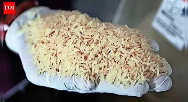 Donald Trump's rice tariffs threat unlikely to have severe impact on exports