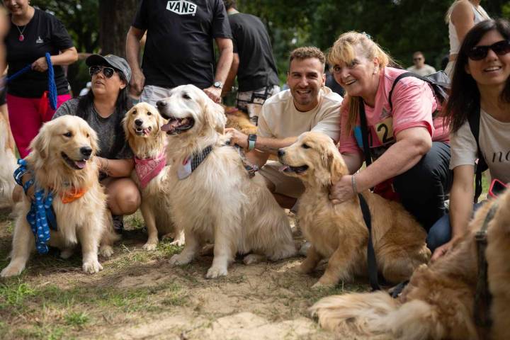 Over 2,000 Golden Retrievers Gather in Argentinian Park to Break World Record