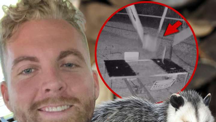 Content Creator Charles Ross Under Investigation For Opossum Catapult Video