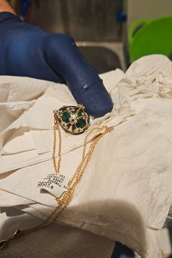 Police recover a swallowed Fabergé pendant after a 6-day wait for it to reappear