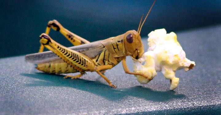 Sunday morning Rangers things