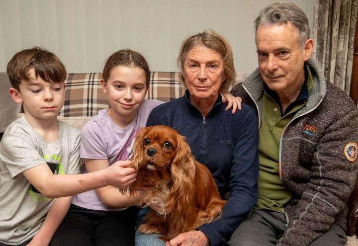 Two stolen puppies reunited with mum found dumped in Wouldham, as family calls on thieves to return pair still missing