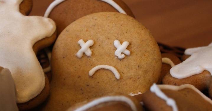 If the holidays are stressing you out, remember: everything is optional