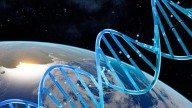 Atribuyen el origen de la especie humana a intervenciones extraterrestres