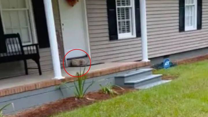 Georgia Woman Comes Home And Freezes When She Spots An Unexpected Visitor On Her Doormat