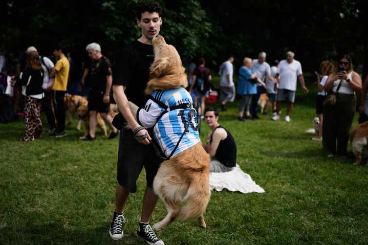 A symphony of woofs: This is what happens when 2,397 golden retrievers gather in an Argentina park