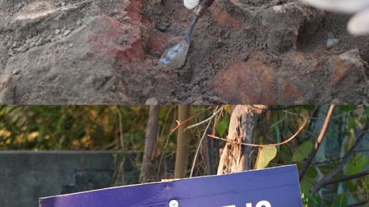 Sri Lanka’s bloody past revealed in mass graves