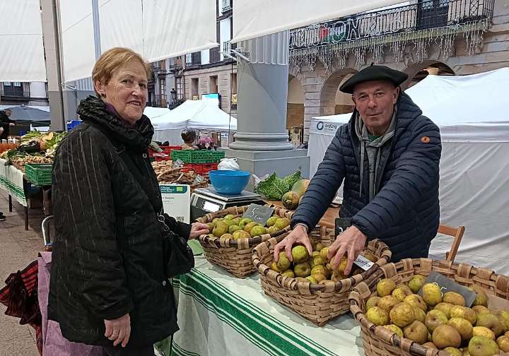 Errezil sagarra, Gabonetan oparia egiteko aukera bikaina