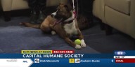Holiday Run for Capital Humane Society happening this weekend