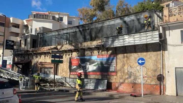Un eucalipto cae frente a los Baños del Carmen