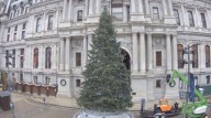 Philadelphia City Hall Tree Camera Live