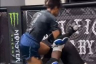 Female MMA Fighter Knocking Out Male Sparring Partner Has UFC Fans Divided