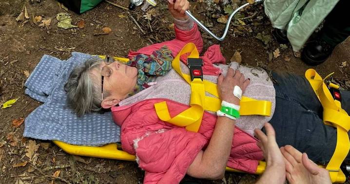 BBC star left in agony for an hour after fall during woodland dog walk