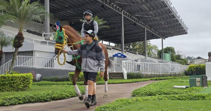 Todo listo para la Serie Hípica Del Caribe