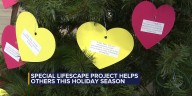 LifeScape Wish Trees bring holiday cheer to Sioux Falls area