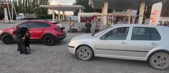 Allen: un perro detector de drogas halló marihuana en un control vial