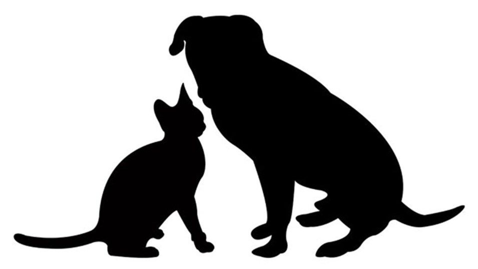 Columbiana County Humane Society appoints shelter manager